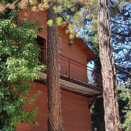 Hotel Toni Llogora Dukat ภายนอก รูปภาพ